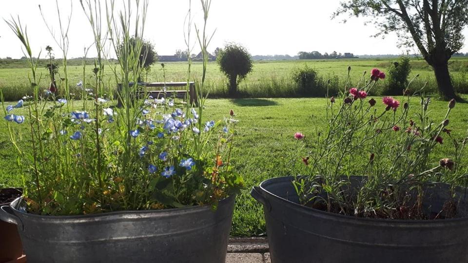 B&B Beemsterblik Graft Kültér fotó